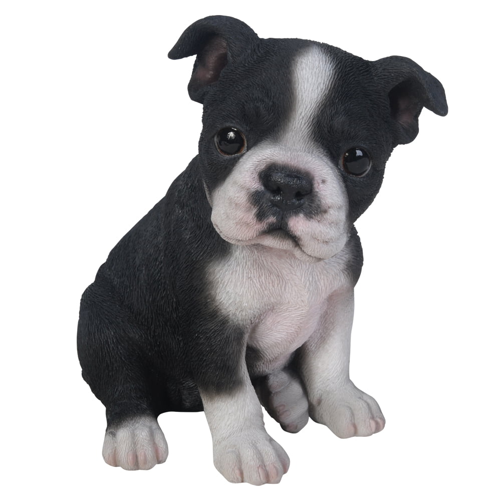 Pacific Giftware Adorable Seated Boston Terrier Puppy