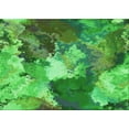 thumbnail image 1 of Ahgly Company Machine Washable Indoor Rectangle Transitional Forest Green Area Rugs, 2' x 3', 1 of 7