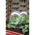 thumbnail image 5 of Tierra Garden Haxnicks 15 in x 12 in Plastic Plant Cover with Air Vents 2 Pack, 5 of 5