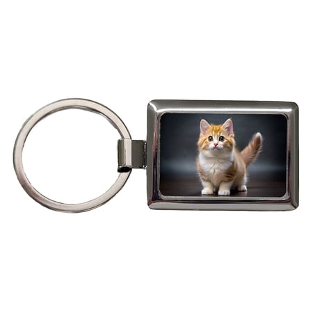 Munchkin Cat Photo Metal Rectangle Keychain