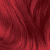Flaming Red