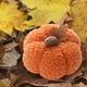 thumbnail image 5 of Decoraciones de Halloween, adornos de Halloween, regalos de Halloween, adornos de calabaza de Halloween, decoración para ambiente festivo, calabaza de terciopelo, 5 of 6