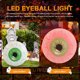 thumbnail image 4 of Guirnalda luces Halloween 4545164646 (40 cm-2 piezas) Verde, 4 of 9