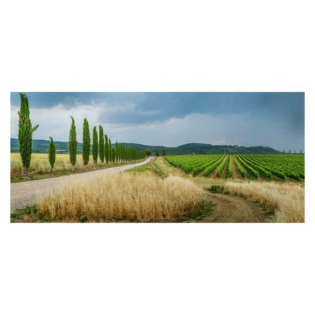 Louis Leonard Art Montalcino Italy by Ted Davis Canvas Wall (Best Wineries In Montalcino Italy)