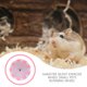 thumbnail image 2 of BRIGHTFUFU 1pc Hamster Ejercicio Rueda Coloreado Rueda Corriente Piedra silenciosa Hamster Rueda Juguete, 2 of 8