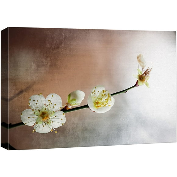 wall26 Impression sur Toile Art Mural Fleurs de Cerisier Blanches Gros Plans Photographie Florale Réalisme Bohème Paysage Relax/calme Cool pour Salon, Chambre, Bureau - 12"x18 Pouces