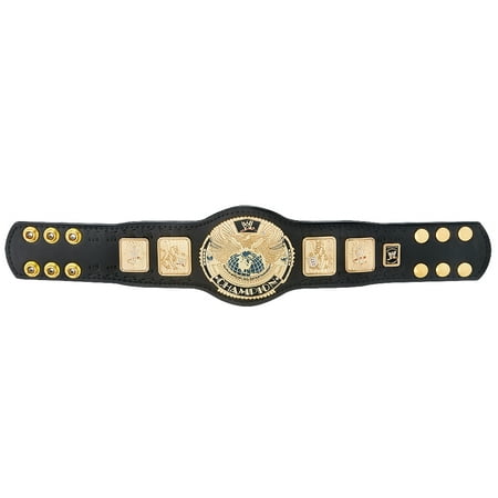 Official WWE Authentic  Attitude Era Championship Mini Replica Title (Best Wwe Matches Of The Attitude Era)