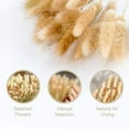 thumbnail image 6 of Natural Large Bouquet for Wedding & Home Decor, Perfect Accent for Bedrooms and Living Rooms 50-piece Dried Pampas Grass Bundle Bienvenido, 6 of 8