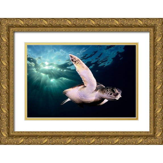 Garcia, Sergi 24x17 Gold Ornate Wood Framed with Double Matting Museum Art Print Titled - Afternoon