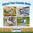 Backyard Seeds Value Blend Economy Mix Wild Bird Seed (40 Pounds