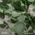 thumbnail image 4 of Maia Shop 3.5ft Artificial Eucalyptus Tree, Fake Plants for Home Decor, 4 of 9