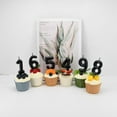 thumbnail image 4 of sasyxdc Birthday Candles Numbers 2.36 inch Party Cake Topper 1 Piece (Brown  Number 6) huy, 4 of 6