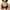 Black, variant on DELIMIRA Women's Front Closure Racerback Bras Plus Size Full Coverage Underwire Unlined Bra