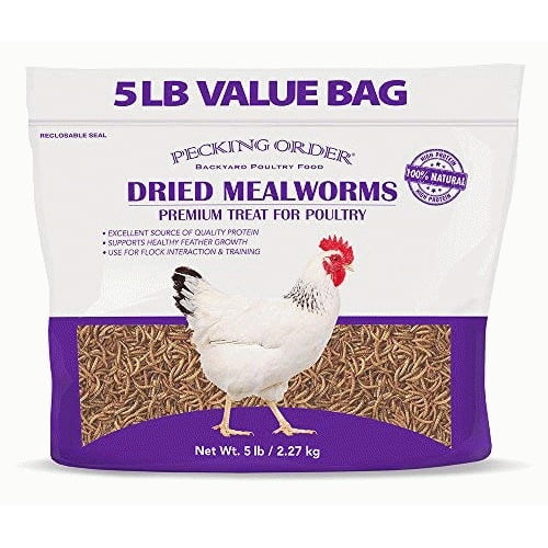 Downtown Pet Supply Dried Mealworms Natural Treats For Birds Chickens Reptiles