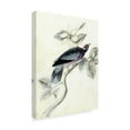 thumbnail image 2 of Trademark Fine Art 'UA CHBR Rustic Aviary I' Canvas Art by Naomi McCavitt, 2 of 4