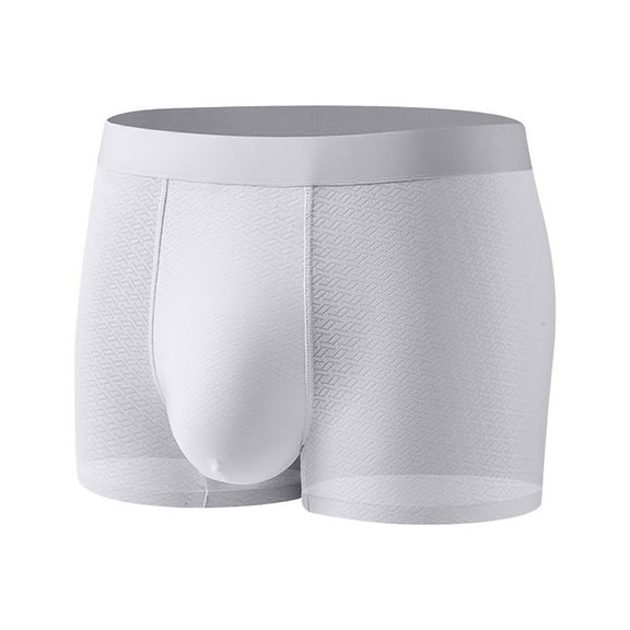 IWRICH Men's Incontinence Underwear Leakproof Boxer Briefs for Bladder Control Regular Absorbency Modal Panties GY2 XL