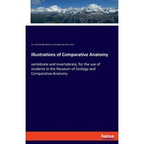 Illustrations of Comparative Anatomy: vertebrate and invertebrate, for the use of students in the Museum of Zoology and , (Paperback)