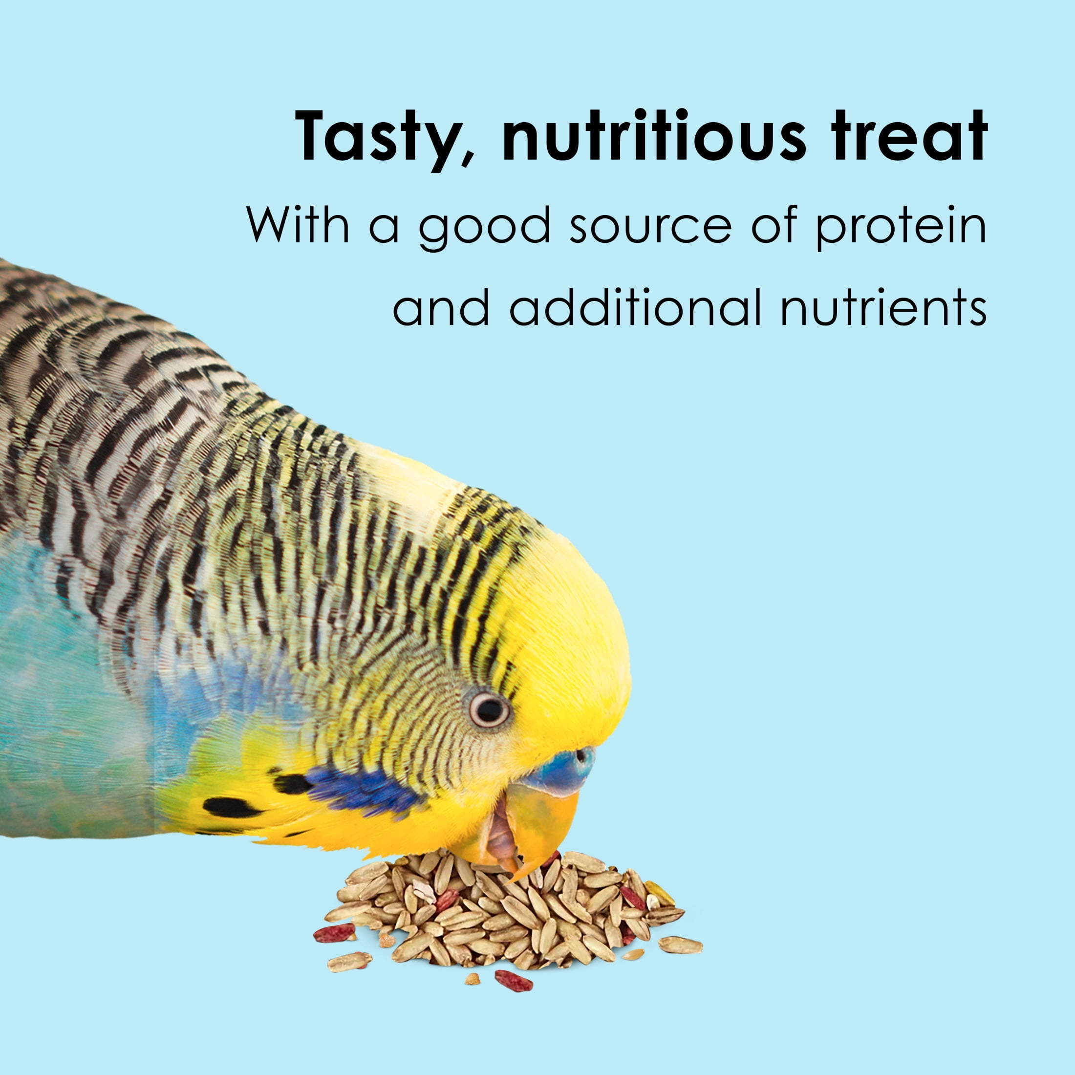 (2 pack) Kaytee Oat Groats Treat Jar for Pet Birds, 11 Ounces