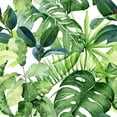 thumbnail image 3 of Green Monstera Wallpaper Pre-Pasted - 25"W x 225"H, 3 of 3