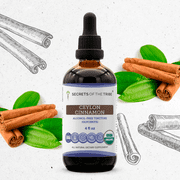 Secrets Of The Tribe Ceylon Cinnamon Organic Dietary Supplement, Natural Herbal Tincture for Metabolic Support, Certified Organic Ceylon Cinnamon (Cinnamomum verum) Dried Bark, Alcohol-Free, 4 oz