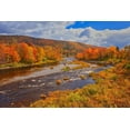thumbnail image 2 of Jaynes Gallery 14x11 Black Ornate Wood Framed with Double Matting Museum Art Print Titled - Canada-Nova Scotia-Cape Breton Island The North River and forest in autumn foliage, 2 of 4