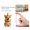 Green, variant on 2025 Corgi Advent Calendar - 24 Acrylic Corgi Pendants for Christmas Countdown, Suitable for Car Rearview Mirrors, Walls, Windows, Christmas Trees & Doors, Festive Corgi Lover, 11.02*6.3in, Green