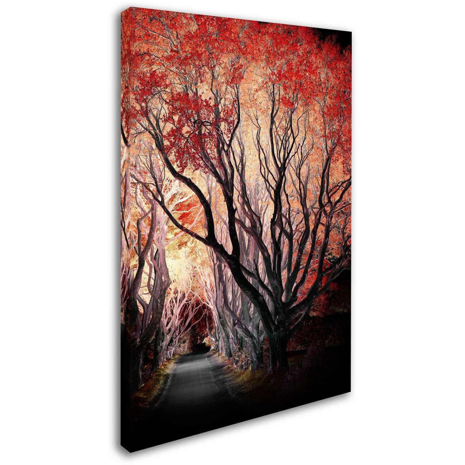 Trademark Fine Art "Powerful One" Canvas Art by Philippe Sainte-Laudy