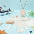 thumbnail image 4 of 100 Pcs Flat Round Shell Charms 6 Sizes Natural Freshwater Sea Shell Charms Seashell Color Round Pendants, 4 of 6
