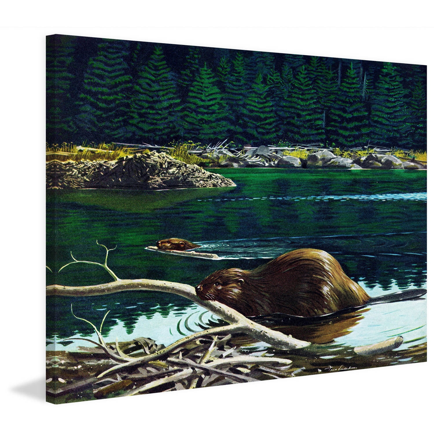 "Lowland Beaver" Painting Print on Wrapped Canvas
