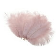 thumbnail image 3 of CIYISON Colored Ostrich Feather 10Pcs for Photography Props Flower Arrangement DIY Decor, 3 of 20