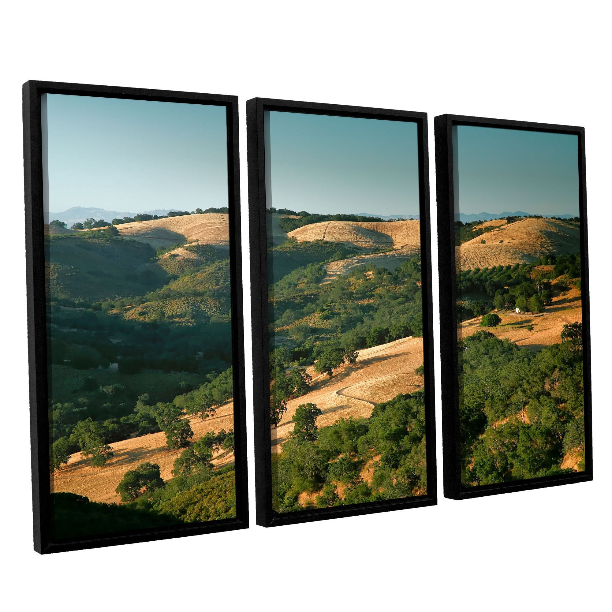 ArtWall Steve Ainsworth "Hills Of California" 3-Piece Floater-framed Canvas Set