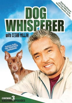 dog whisperer season 1