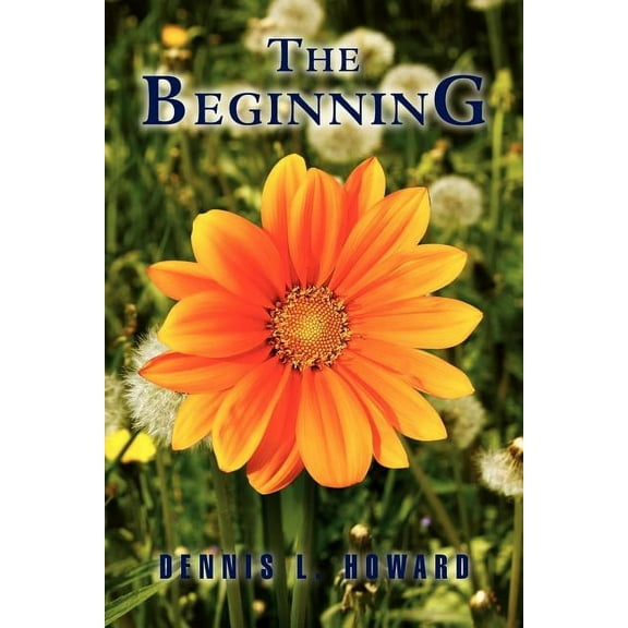 The Beginning (Paperback)