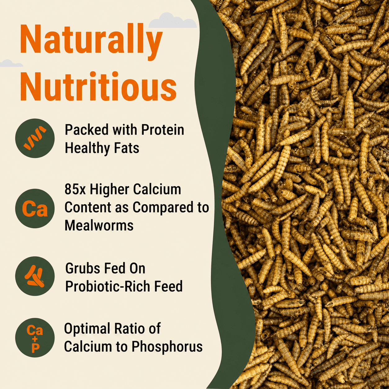 Supreme Grubs Dried Black Soldier Fly Larvae Chicken Treats 5LB – High Calcium, Protein-Rich, All-Natural Poultry Feed Supplement