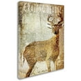 thumbnail image 2 of Trademark Fine Art "Winter Game Two" Canvas Art by Color Bakery, 2 of 3
