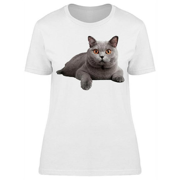 Cat Dicut Lying T-Shirt Women -Image by Shutterstock Women T-Shirt, Female XX-Large