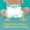 thumbnail image 6 of Pampers Swaddlers Diapers Size 4, 120 Count (Select for More Options), 6 of 15