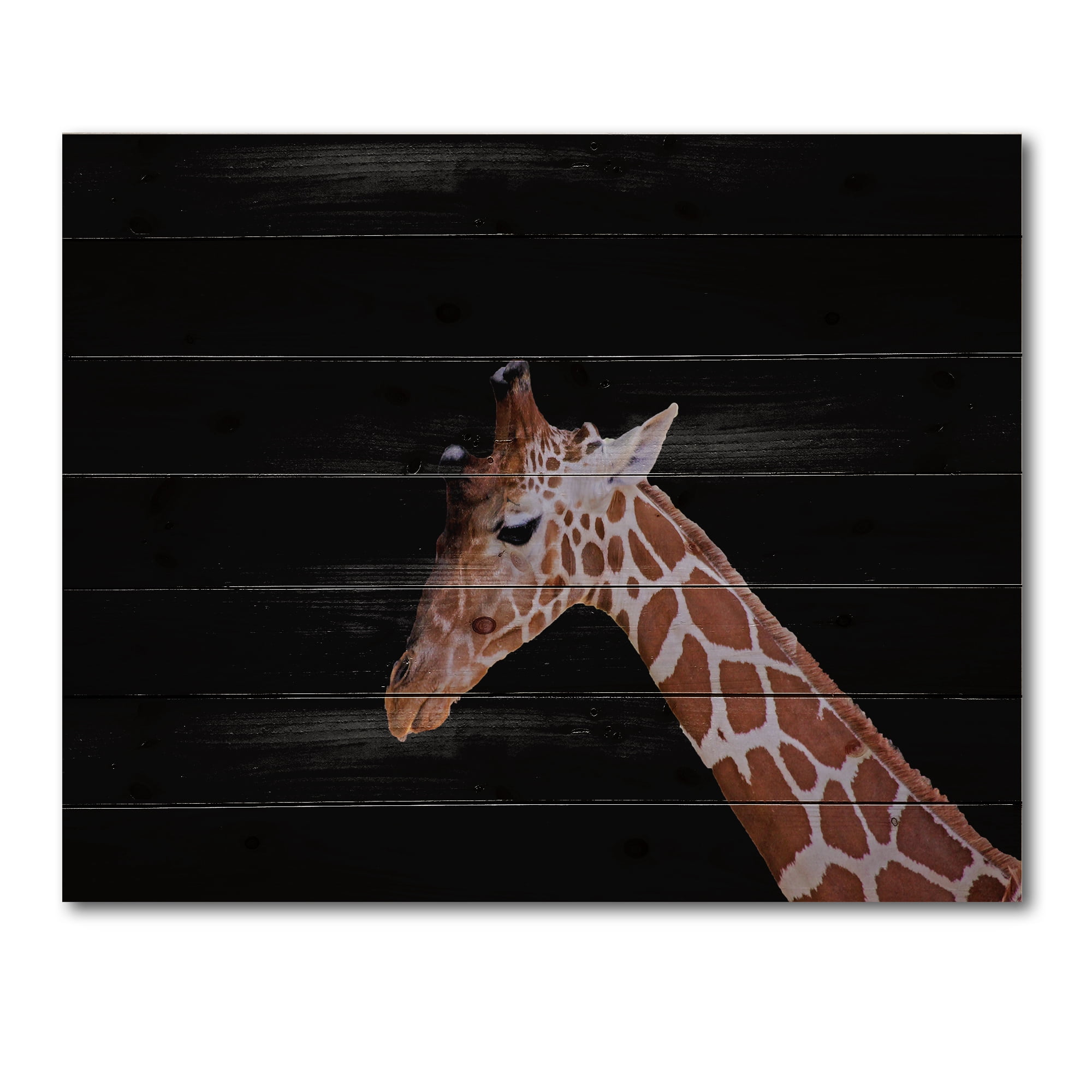 Designart 'Portrait of A Giraffe On Black Background I' Farmhouse Print on Natural Pine Wood