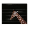 thumbnail image 3 of Designart 'Portrait of A Giraffe On Black Background I' Farmhouse Print on Natural Pine Wood, 3 of 5