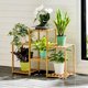 thumbnail image 2 of Estante para Plantas EOTVIA Soporte para Flores de Interior Madera 2+2+2 Capas, 2 of 7