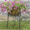 thumbnail image 4 of WOODSTREAM COBRACO-SCBPS1015-B Support de Plante Canterbury Noir, 4 of 4