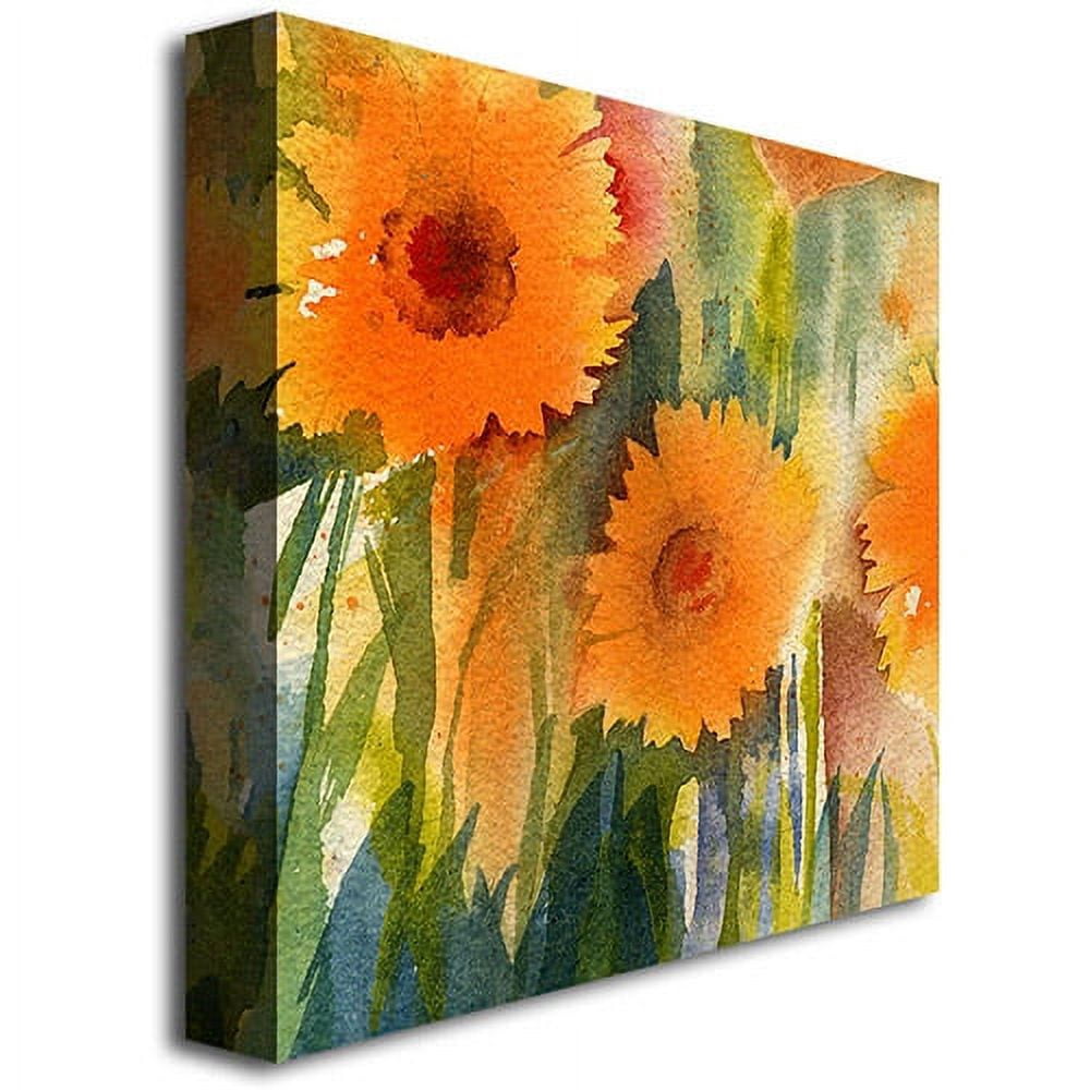 Trademark Art "Orange Wild Flowers" Canvas Wall Art by Shelia Golden