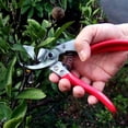 thumbnail image 2 of vs-8z, secateurs, ARS-VS-8XZ-max, 2 of 3