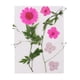 thumbnail image 3 of Flor Seca Real Prensada Natural para Fabricación , Fabricación de , Manualidades, Fundición de Resina, Adornos Hechos - Rosado BLESIY Flores secas prensadas naturales, 3 of 8