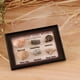 thumbnail image 3 of de Ciencia ógica de Colección de Fósiles de Marinos Naturales de 15-40 Paquetes - Paquete de 15 piezas Sunnimix Colección de muestras de fósiles, 3 of 8