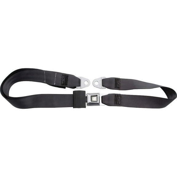 Allstar Performance Seat Belt Charcoal