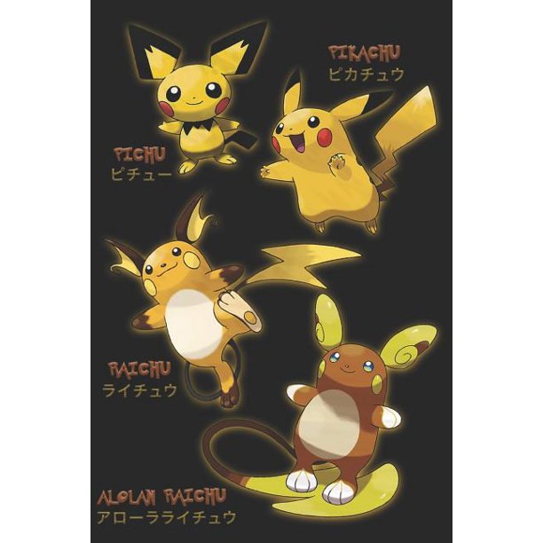 Pikachu Evolutions Pichu Raichu And Alolan Raichu Blank Sketchbook Notebook Journal Paperback Walmart Com