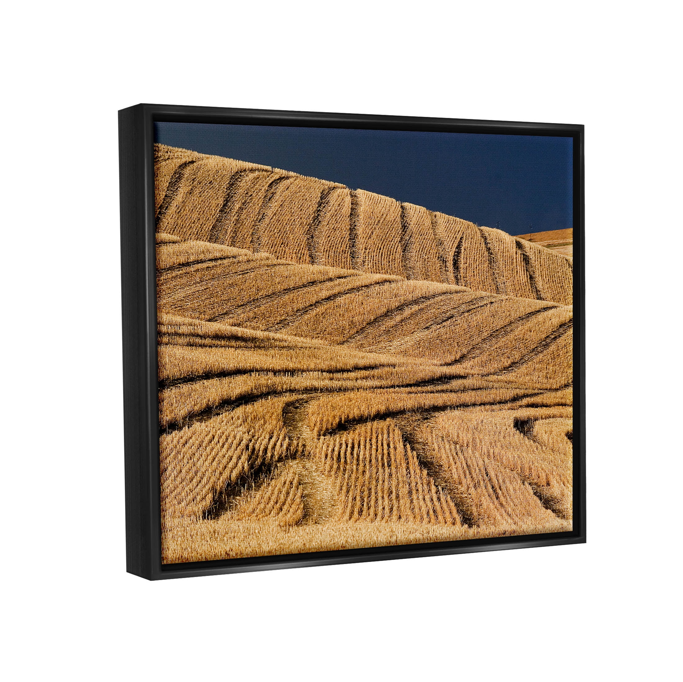 Stupell Industries Wavy Cornfield Lines Vast Rural Field Photograph Jet Black Floating Framed Canvas Print Wall Art, Design by David Lorenz