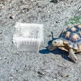 thumbnail image 4 of Homoyoyo 30Pcs Versatile Small Reptile Breeding Box Plastic Tank for Gecko Turtle Snake Spider Habitat, 4 of 8