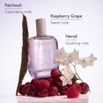thumbnail image 4 of Perfume Caudalie Ange des Vignes Fragancia Ligera 50 ml, 4 of 6